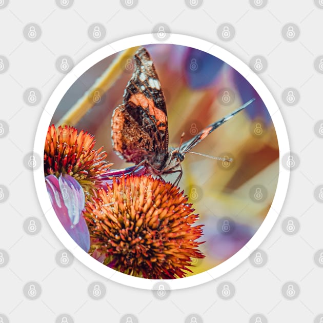 Lovely Monarch Butterfly Photograph Magnet by love-fi